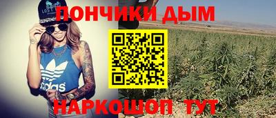 индика Заводоуковск