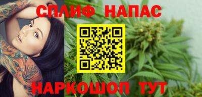 индика Заводоуковск