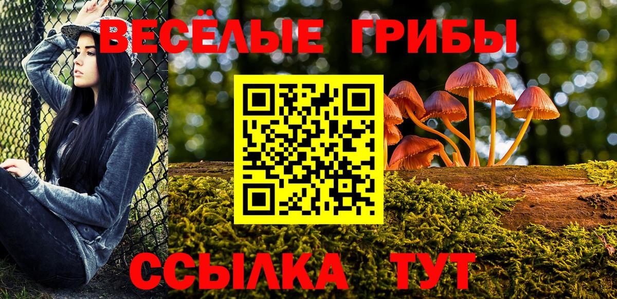 Галлюциногенные грибы мицелий Георгиевск