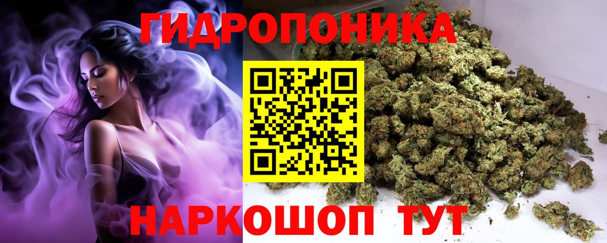 Бошки Шишки план  Конопля индика  МАРИХУАНА THC 21%  Бошки марихуана семена  Георгиевск  Вход с VPN 